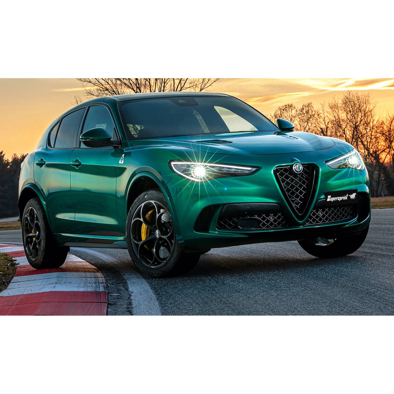 ALFA ROMEO STELVIO QUADRIFOGLIO 2.9i V6 Bi-Turbo (510 PS) 2020 ->